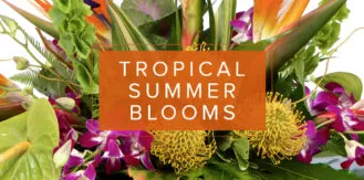 Lifestyle-TropicalSummer-blog