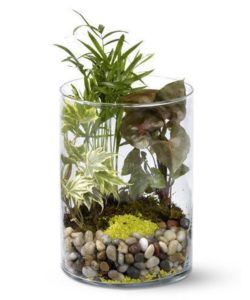 A miniature living garden – perfect for a desk, kitchen counter or sideboard – will add the beauty of the outdoors to any setting, and provide a focus for quiet contemplation. A selection of green plants is florist-arranged with rocks and sand in a simple glass cylinder, and then hand-delivered.