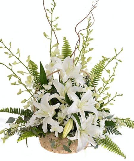 white oriental lilies are arranged with dendrobium orchids, swordfern, curly willow and seeded eucalyptus in a natural handled basket and in a traditional fan shape