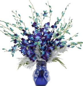 Blue orchids are extraordinary and indeed a sign of miracles. While blue orchids do not occur naturally it's a symbol that unknown beauty can occur. These stem dyed orchids are stunning on their own, but the added shining silver sparkle makes this vase extra special. True to the season wintergreens fill the vase to add fragrance and a touch of natural beauty.