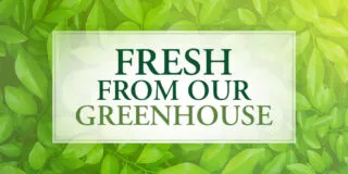 Currans-Greenhouse-Awareness—Blog-Header