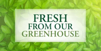 Currans-Greenhouse-Awareness—Blog-Header